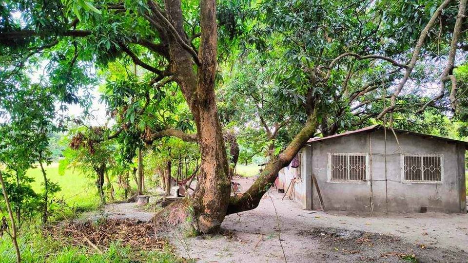 Farm Lot near NATIONAL HIGHWAY for sale