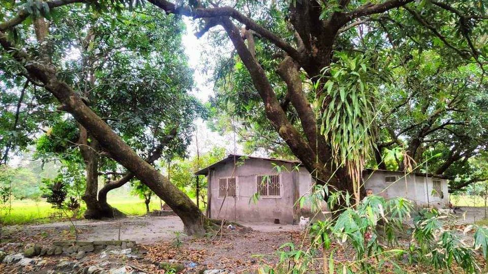 Farm Lot near NATIONAL HIGHWAY for sale