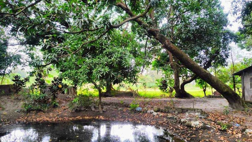 Farm Lot near NATIONAL HIGHWAY for sale