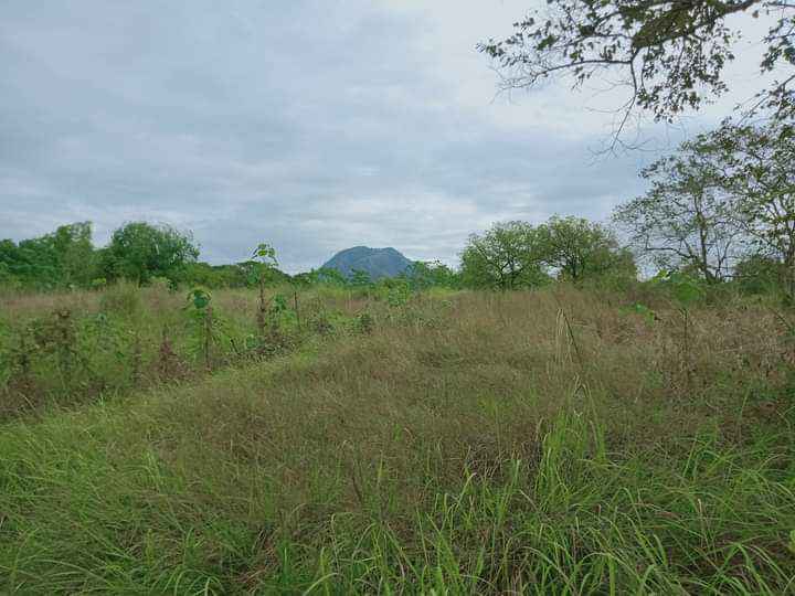 Farm lot for sale, Hilly terrain