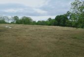 Farm lot for sale, Hilly terrain