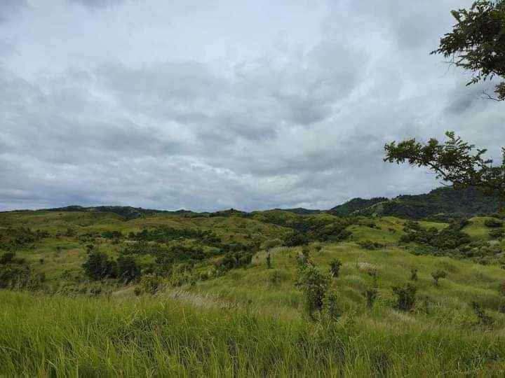 Very affordable land for sale!!