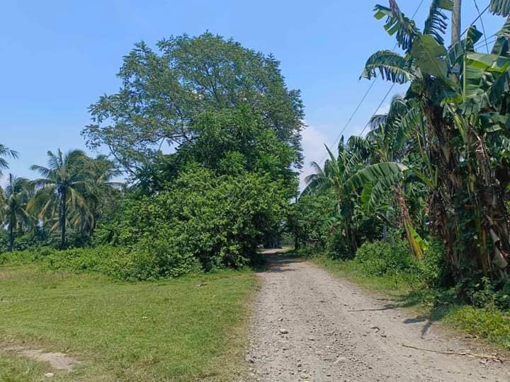 1.2M ALL IN ALL EXPENSES KAY SELLER NA