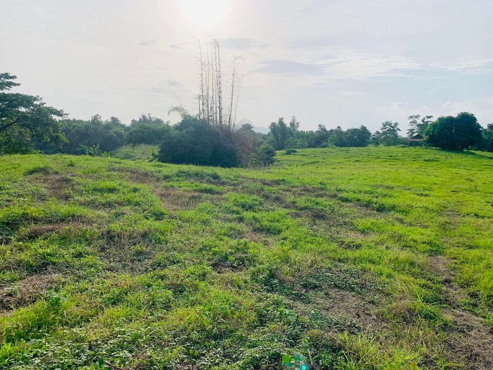 Farm Lot Cuyapo, Nueva Ecija