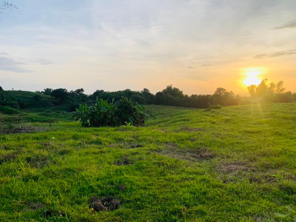 Farm Lot Cuyapo, Nueva Ecija