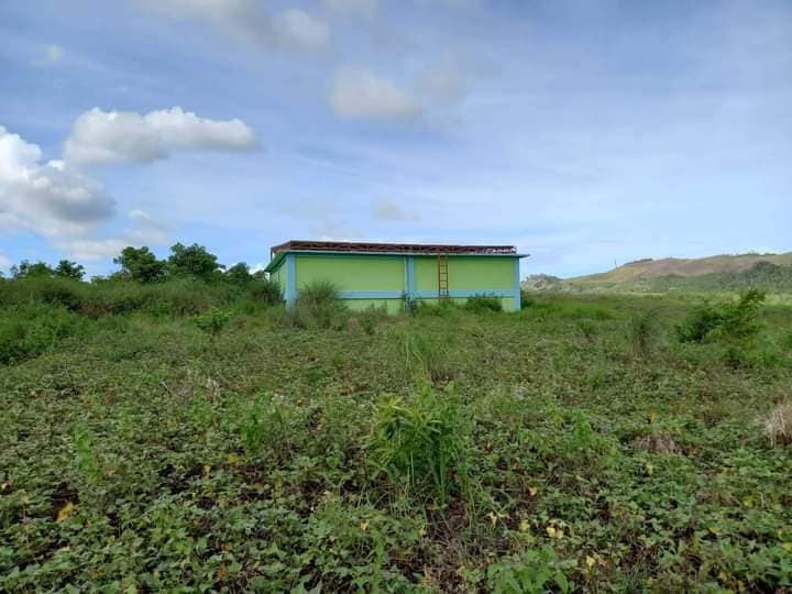 103 has farmlot for sale in Quezon province