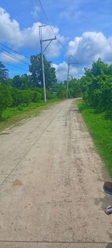 1 hectare farm lot for sale