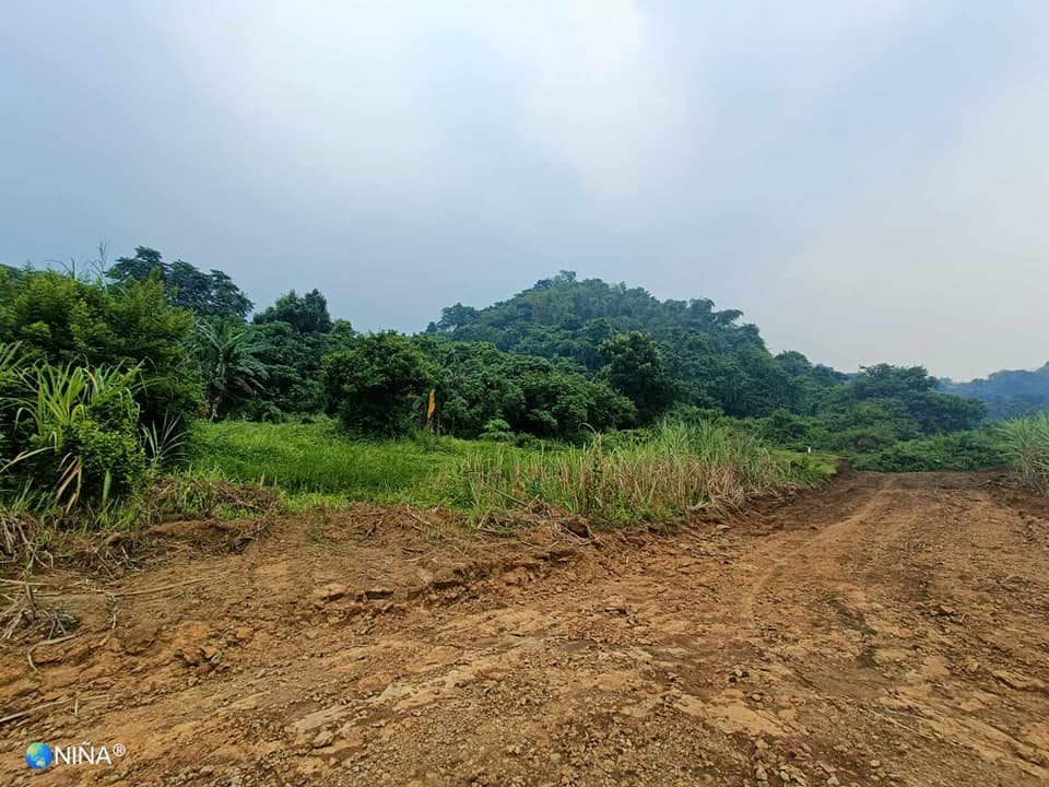 Farmlot with Mountain, Sea View