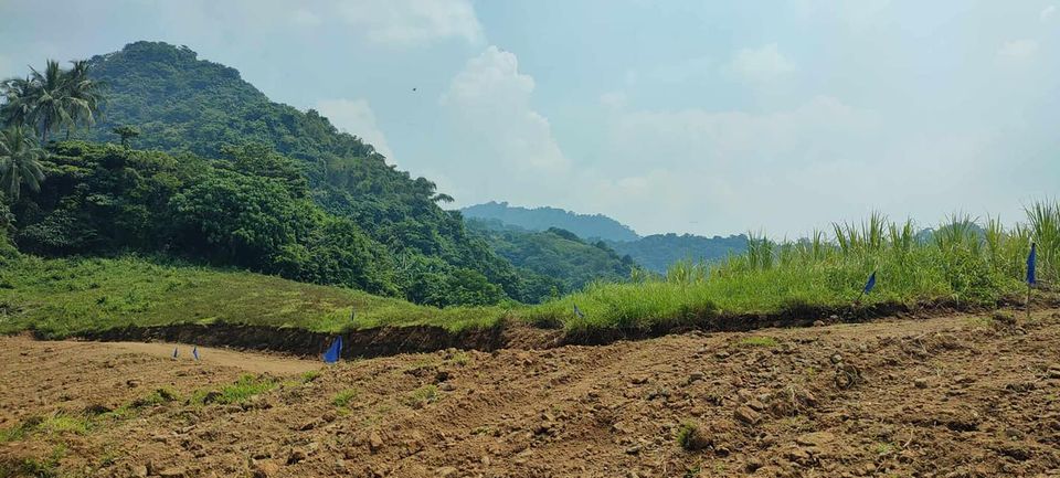 Farmlot with Mountain, Sea View