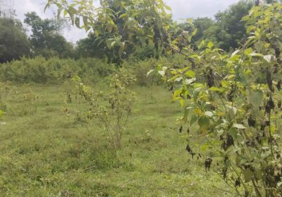LOT for sale in DRT Bulacan