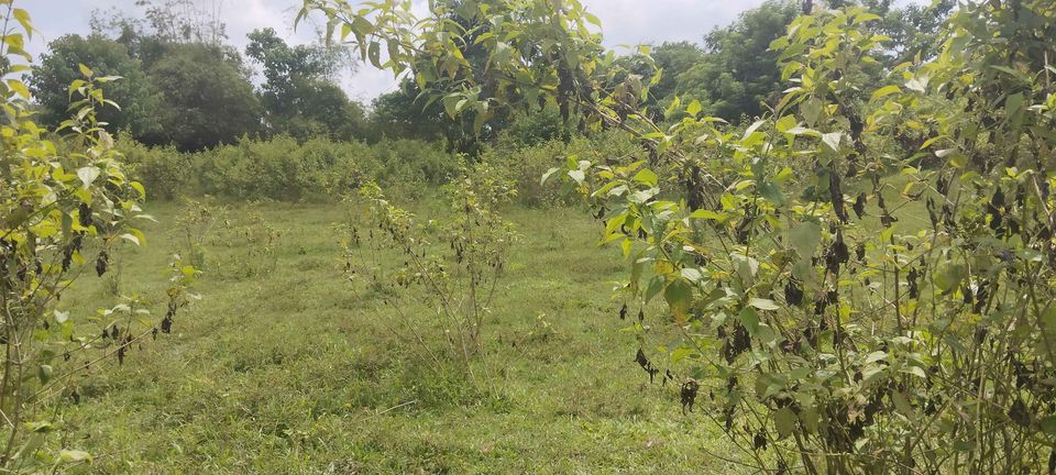 LOT for sale in DRT Bulacan