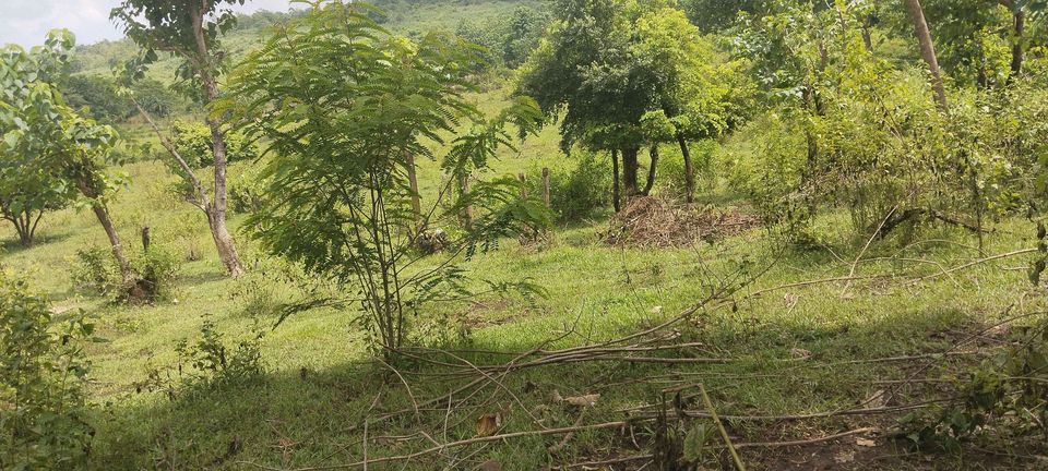 LOT for sale in DRT Bulacan