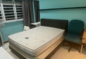 Punggol Masters Bedroom & Common Bedroom for Rent