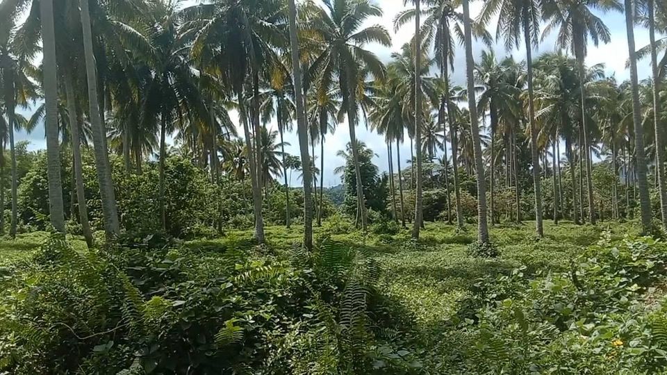 Brgy Yaganak Calauag Quezon province