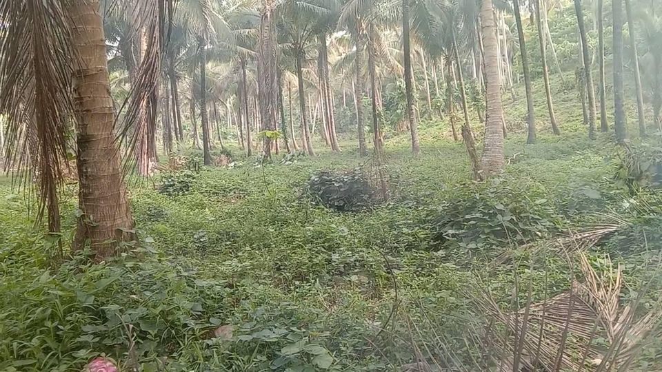 Brgy Yaganak Calauag Quezon province