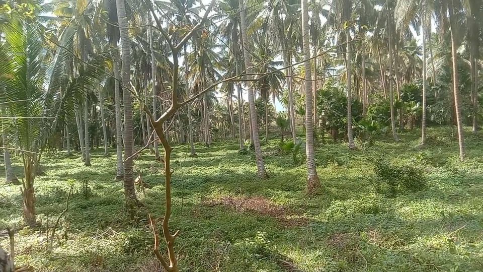 Brgy Yaganak Calauag Quezon province
