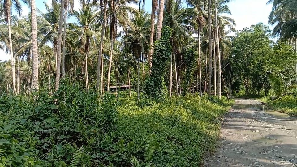 Brgy Yaganak Calauag Quezon province