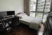 Master Bedroom with AC (Pasir ris condominium)