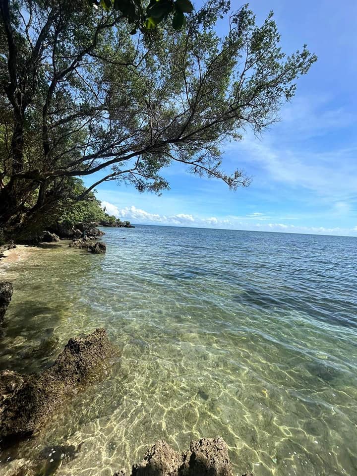 Last month of Pre selling