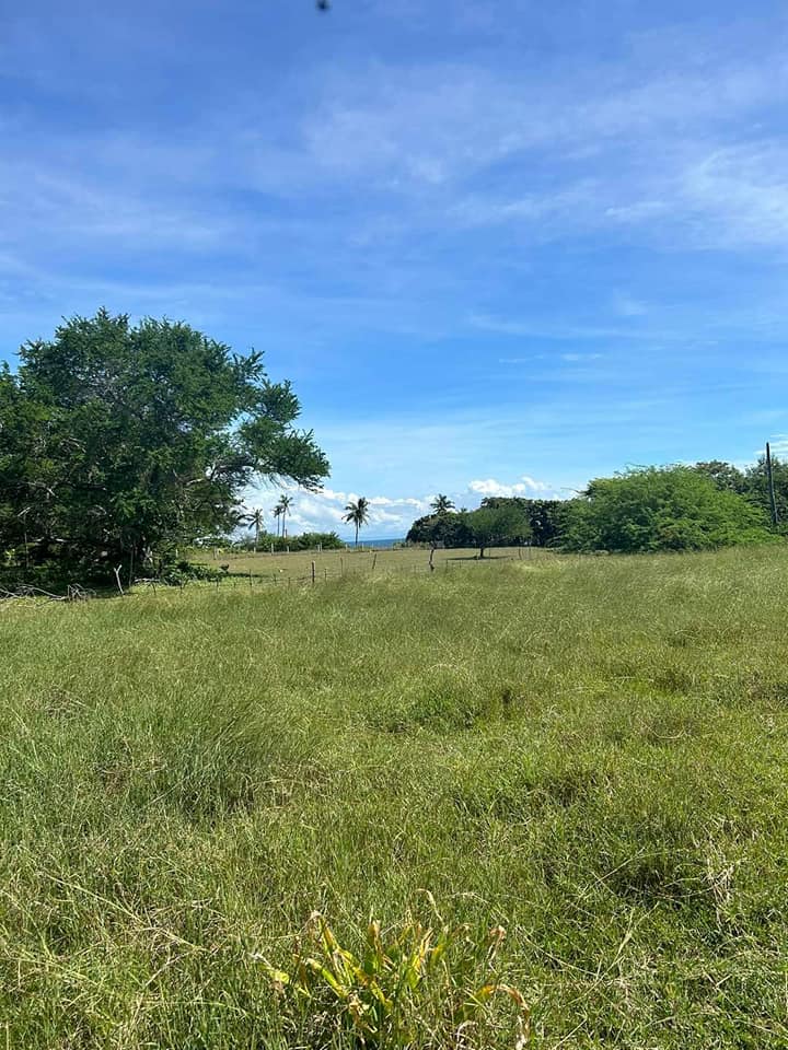 Last month of Pre selling