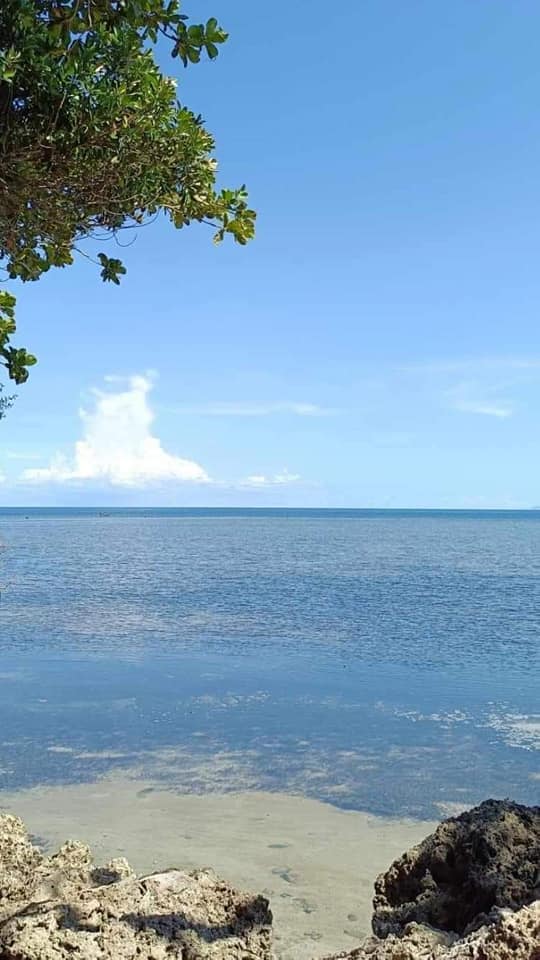 Last month of Pre selling