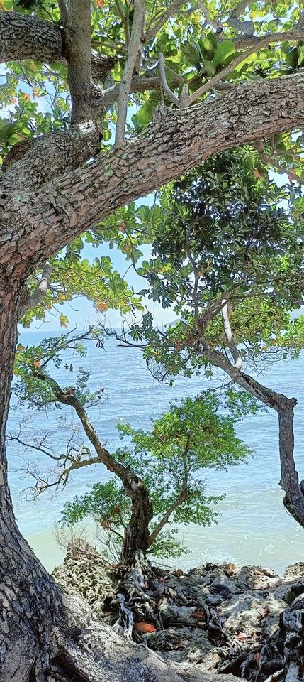 Last month of Pre selling