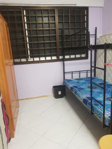 Serangoon North Bed/Room for Rent