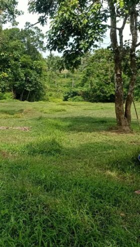 For Sale farm lot with bukal (spring water)