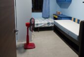 Female Room Sharing 550 SGD