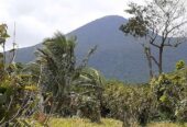 Sale farm lot along barangay cemented road