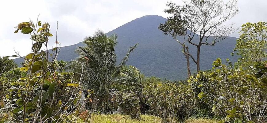 Sale farm lot along barangay cemented road